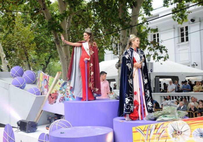 Olascoaga Dos Monoambiente メンドーサ エクステリア 写真